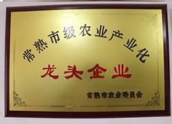 榮譽(yù)資質(zhì)
