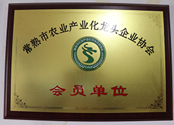 榮譽(yù)資質(zhì)